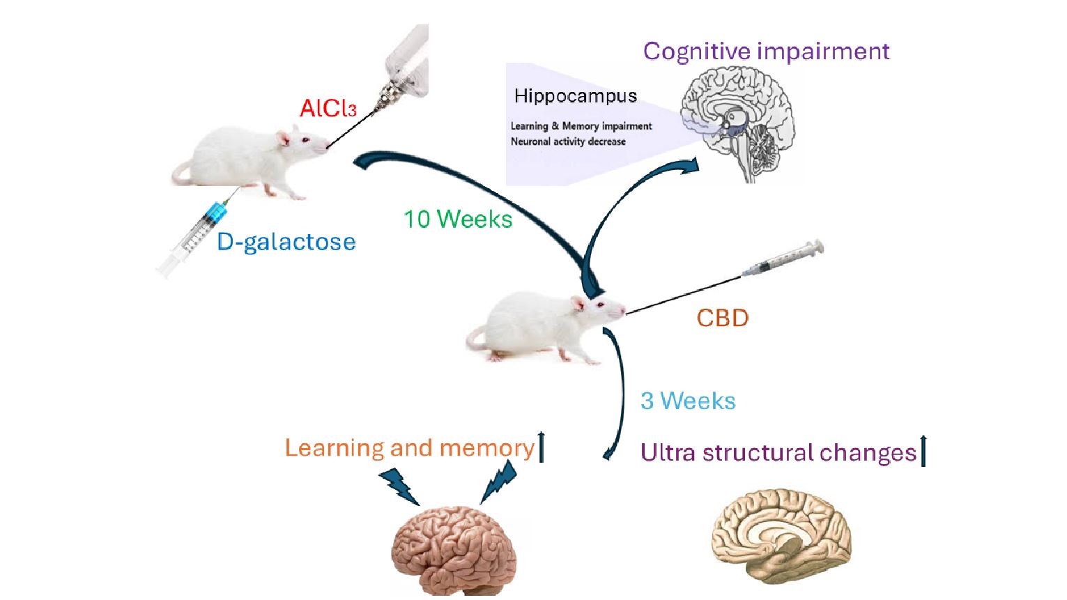 graphical abstract.v2